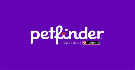 pet finder ph|Cats .